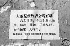 防城港珠海伴游雇用网(珠海游览社雇用信息)