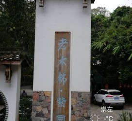 防城港关于伴游中国伴游你们伴得是什么游的信息