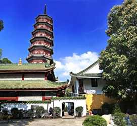 防城港广州自由行(广州 自由行)