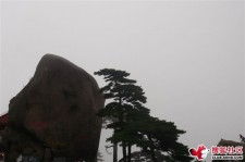 防城港上海伴游私家陪游雇用女模(上海伴游私家陪游雇用女模特)