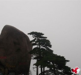 防城港上海伴游私家陪游雇用女模(上海伴游私家陪游雇用女模特)