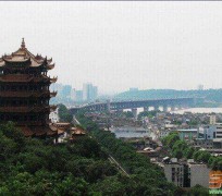 防城港武汉游玩攻略(武汉游玩攻略ppt)