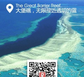 防城港中国250家旅行社结伴游新西兰(新西兰当地旅行社)