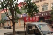 防城港上海伴游 用伴游造句大全(5
