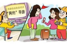 防城港伴游是什么