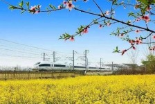 防城港高铁游(高铁游戏下载手机版)