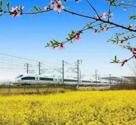 防城港高铁游(高铁游戏下载手机版)