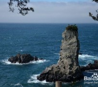 防城港旅游全攻略(上海旅游全攻略)