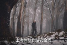 防城港上海私人伴游 上海伴游，上海兼职伴游安全吗