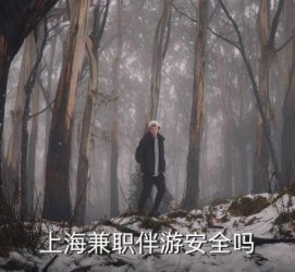 防城港上海私人伴游 上海伴游，上海兼职伴游安全吗