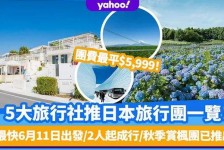防城港旅游价格(旅游价格机制)