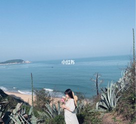 防城港厦门周边游(厦门及周边旅游攻略)
