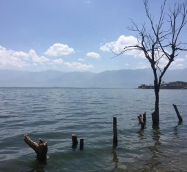 防城港洱海旅游攻略(洱海旅游攻略自由行)
