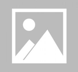 防城港闵行区伴游雇用驾驶员(闵行区伴游雇用驾驶员信息)