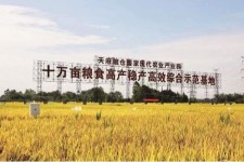 防城港关于成都商务伴游外围雇用的信息