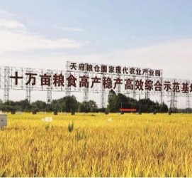 防城港关于成都商务伴游外围雇用的信息
