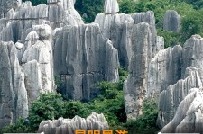 防城港贵阳市游览社英语伴游雇用(贵阳市前十名游览社是哪几家)