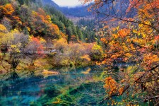 防城港四川旅游攻略(四川旅游攻略十五日游)