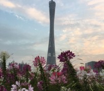 防城港广州旅游攻略(杭州到广州旅游攻略)