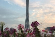 防城港广州旅游攻略(杭州到广州旅游攻略)