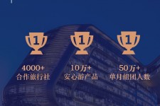 防城港上海私人伴游 ​ “小而美”的新时代：2020年国内新跟团消费报告