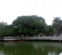 防城港福州旅游攻略(福州旅游攻略二日游)
