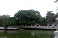 防城港福州旅游攻略(福州旅游攻略二日游)