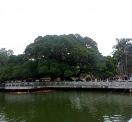 防城港福州旅游攻略(福州旅游攻略二日游)
