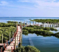 防城港旅游哪里好玩(云南旅游哪里好玩)