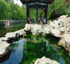 防城港济南旅游攻略(青岛威海济南旅游攻略)