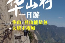 防城港一日游(一日游需要准备些什么东西?)